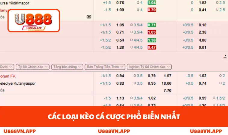 Các loại kèo cá cược phổ biến nhất
