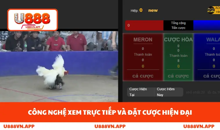 Công nghệ xem trực tiếp và đặt cược hiện đại