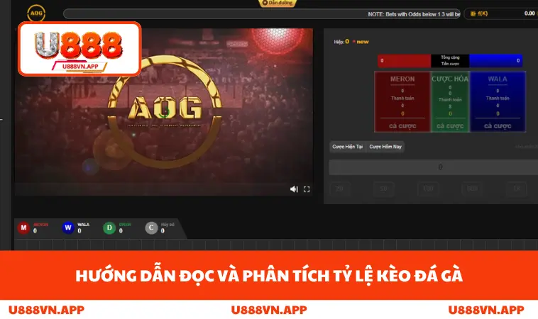 Hướng dẫn đọc và phân tích tỷ lệ kèo đá gà