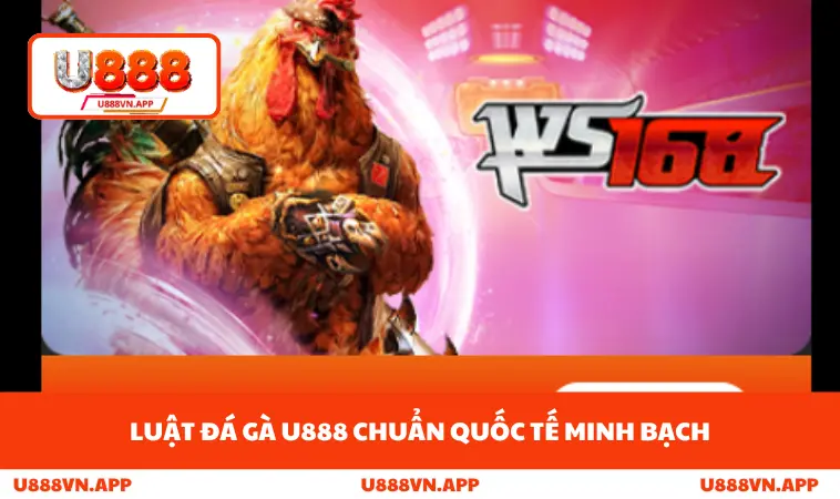 Luật đá gà U888 chuẩn quốc tế minh bạch